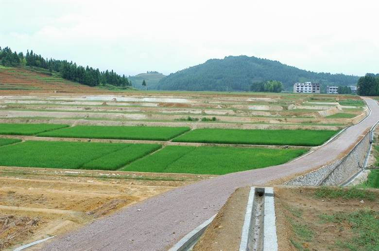 巴州区水宁寺镇龙骨村土地整理项目