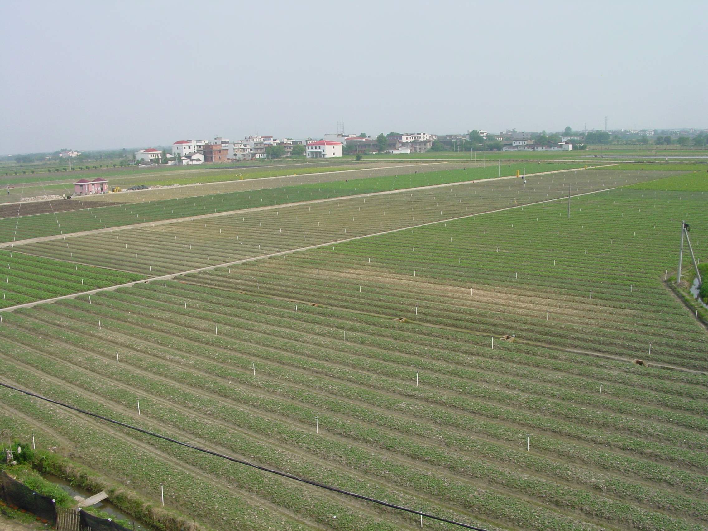 2012年度迤那镇青山村农业综合开发土地治理项目